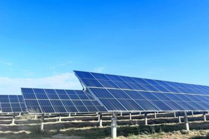 Trina Solar revitalizes goafs with Vertex N 700W modules