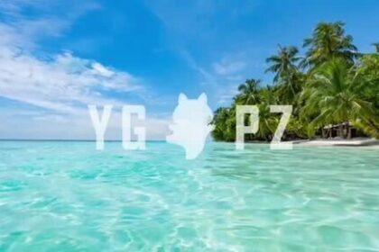 Wellness NFT YogaPetz Sells Out in Less Than 45 Minutes with a Value Close to $3 Million