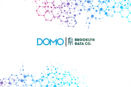 Domo and Brooklyn Data Simplify AI and Data Management